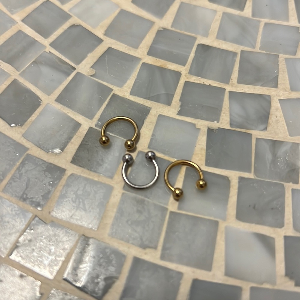 Earrings